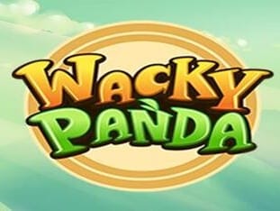 Wacky Panda icon